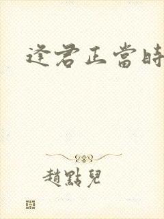 逢君正当时封面