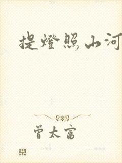 提灯照山河封面