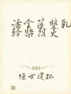 潘金莲双乳晃动干柴烈火封面