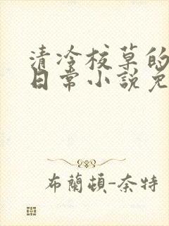 清冷校草的堕落日常小说免费阅读封面