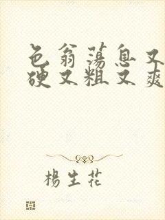 色翁荡息又大又硬又粗又爽