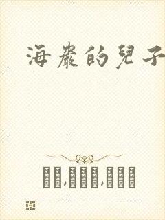 海岩的儿子