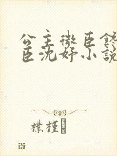 公主微臣馋了微臣沈妤小说