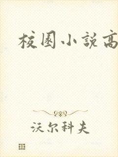 校园小说高h