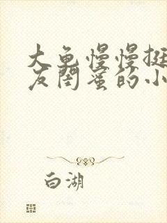 大龟慢慢挺进女友闺蜜的小说