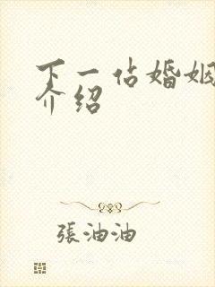 下一站婚姻剧情介绍