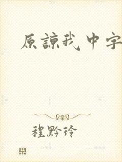 原谅我中字封面