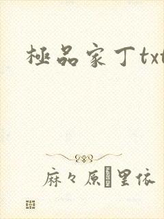 极品家丁txt