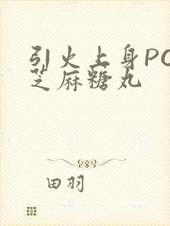 引火上身POP芝麻糖丸