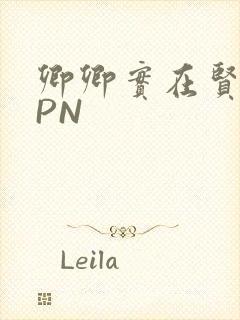 卿卿实在贤良NPN