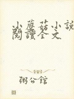 小蘑菇小说免费阅读全文