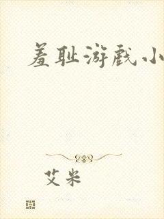 羞耻游戏小说封面