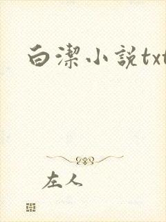 白洁小说txt