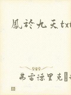 凤于九天txt