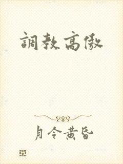 调教高傲