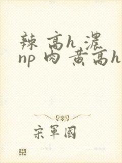 辣 高h 浓 np 肉 黄高h