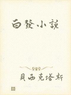 白发小说