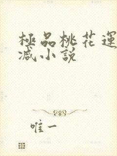 极品桃花运未删减小说