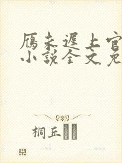 雁未迟上官穿越小说全文免费阅读