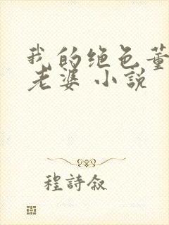 我的绝色董事长老婆 小说封面