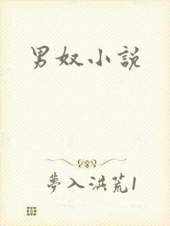 男奴小说