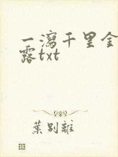 一泻千里金银花露txt