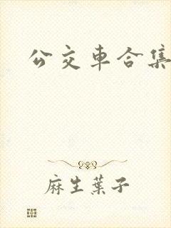 公交车合集