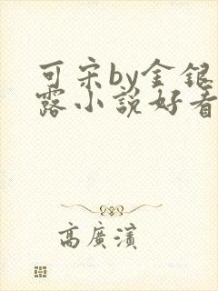 可宋by金银花露小说好看吗