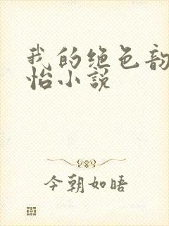 我的绝色韵母郑怡小说