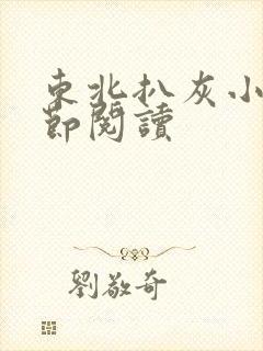 东北扒灰小说分节阅读