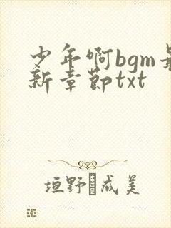 少年啊bgm最新章节txt封面