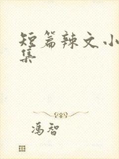 短篇辣文小说合集