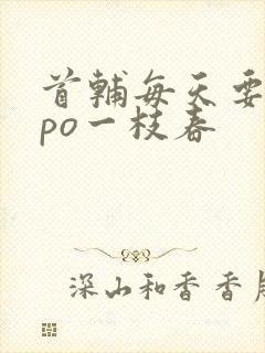 首辅每天要不够po一枝春封面