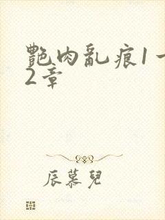 艳肉乱痕1一12章封面