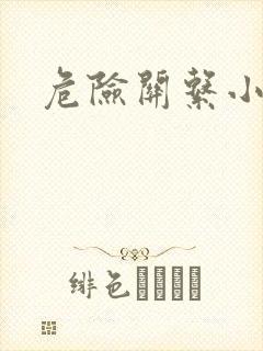 危险关系小说封面