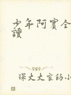 少年阿宾全集阅读