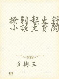 撩到起火舒漾的小说免费阅读全文