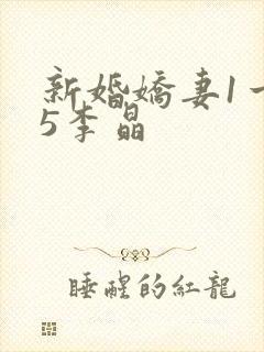 新婚娇妻1一25李晶
