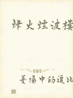 烽火烟波楼封面