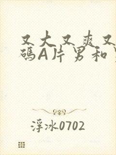 又大又爽又黄无码A片男和男