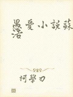 愚爱小说苏倩孙浩封面