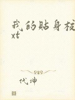 我的贴身校花txt封面