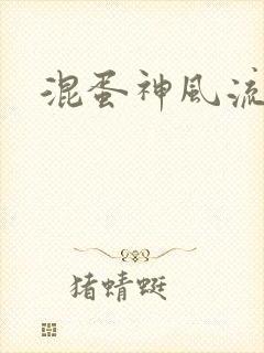 混蛋神风流