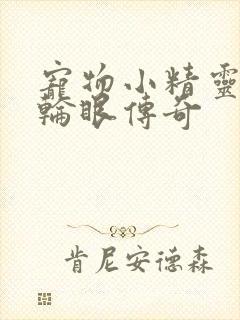 宠物小精灵之写轮眼传奇