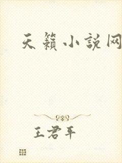 天籁小说网封面