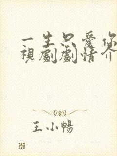 一生只爱你 电视剧剧情介绍封面