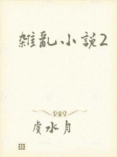 杂乱小说2