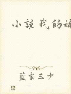 小说 我的娇妻