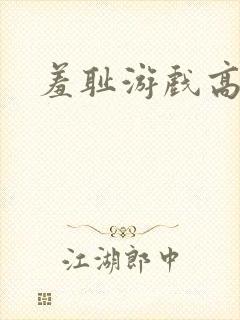 羞耻游戏高h封面