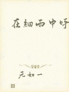 在细雨中呼喊